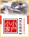 小家小户