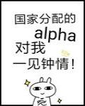 国家分配的alpha对我一见钟情