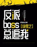 快穿之反派boss总追我