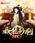 我能秒刷NPC