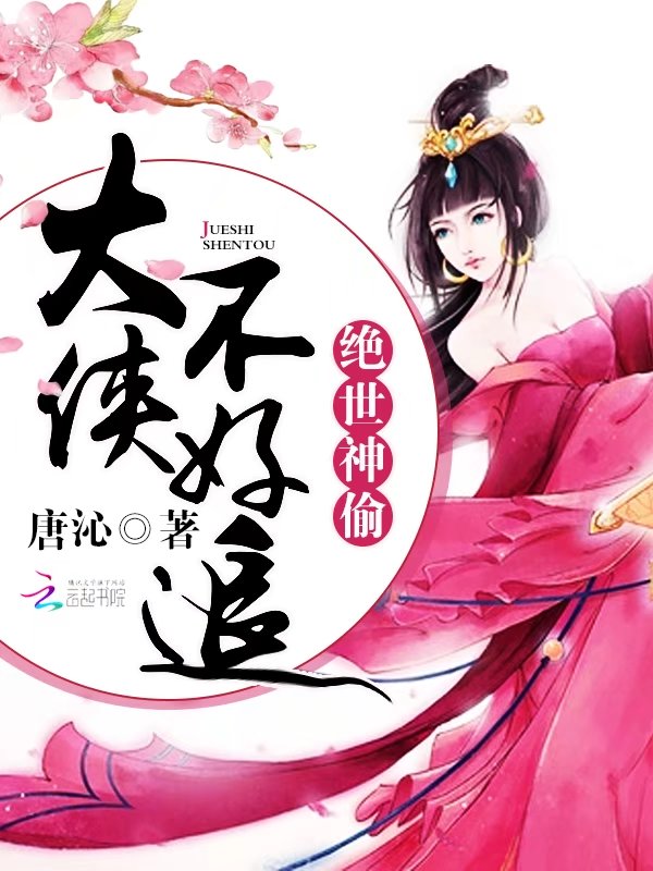 绝世神偷：大侠不好追