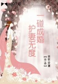 一碰成婚：护妻无度