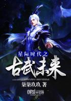 星际时代之古武未来