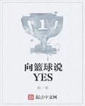 向篮球说YES